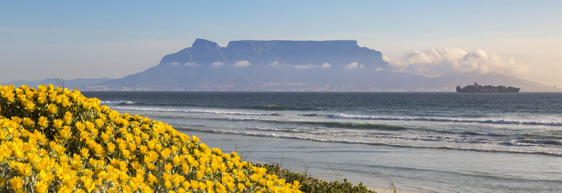 Southern-Africa-South-Africa-Cape-Town-Floral-Coast