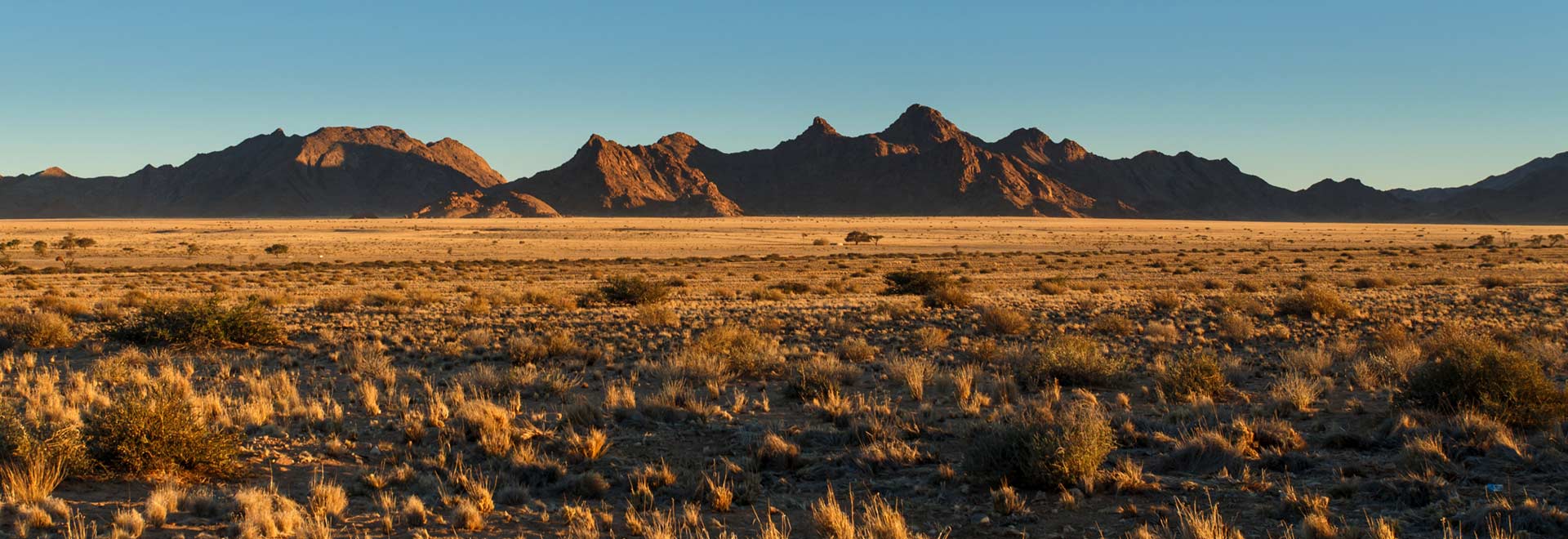 Southern Africa Namibia Namib Desert
