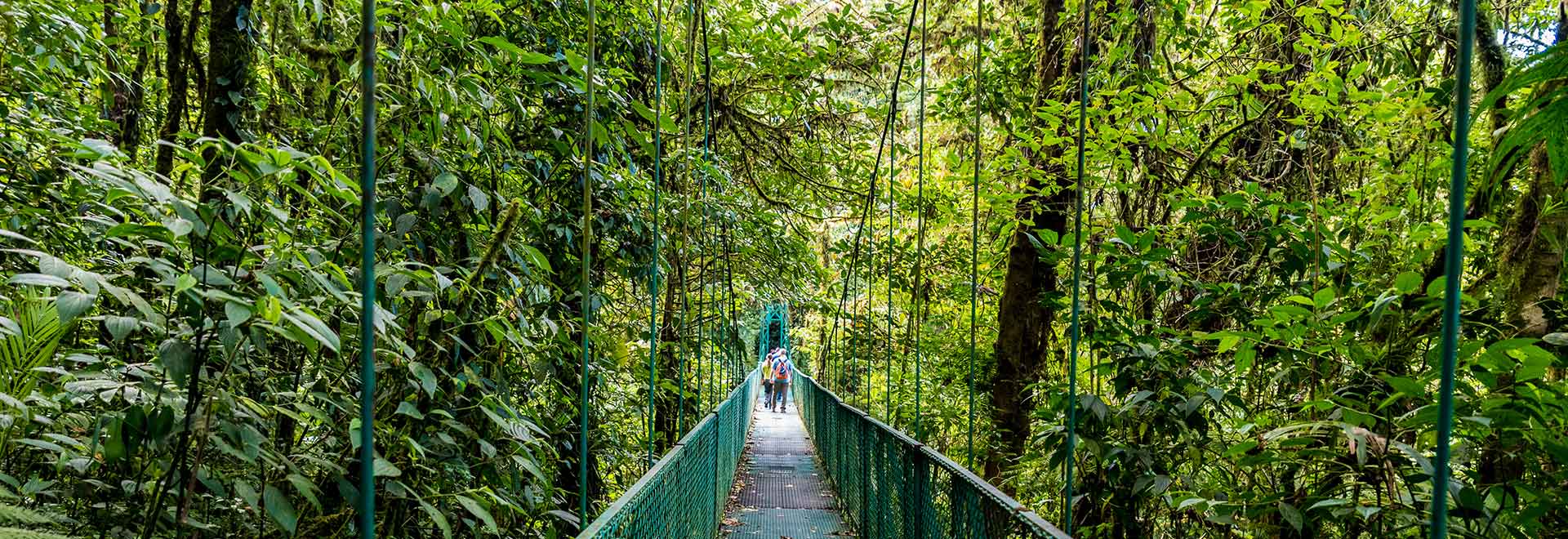 Americas Costa Rica Monteverde Forest MH