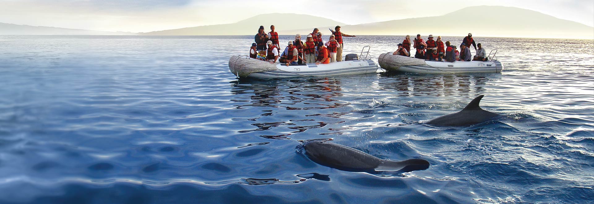 Americas Family Galapagos Whale Watching MH