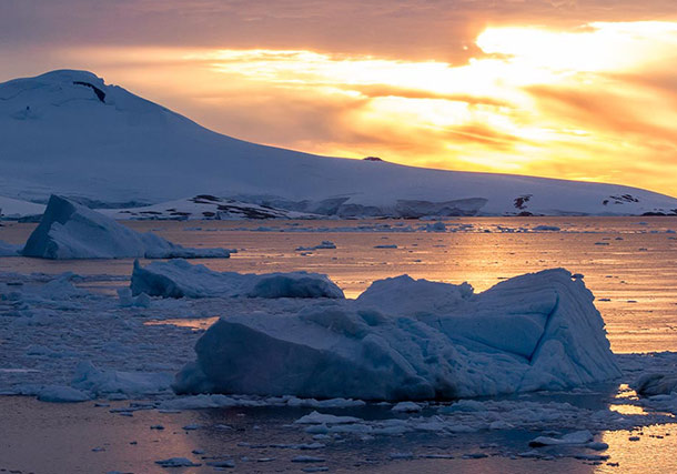 Antartica Sunset Icebergs search