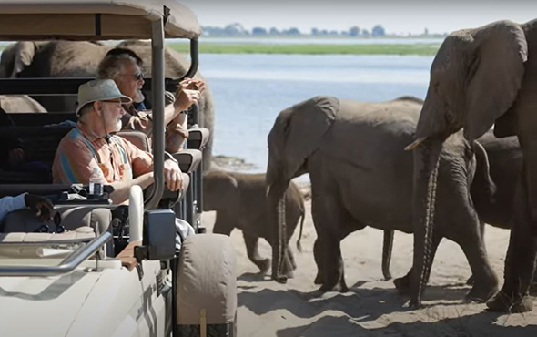Botswana Safari in Style