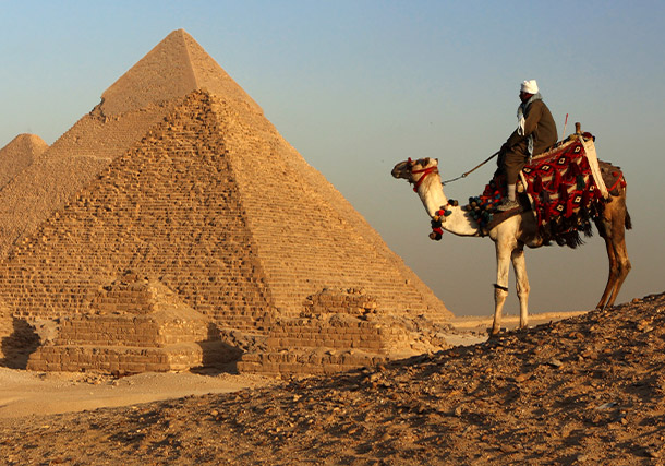 Middle East Egypt Pyramids Camel Local search