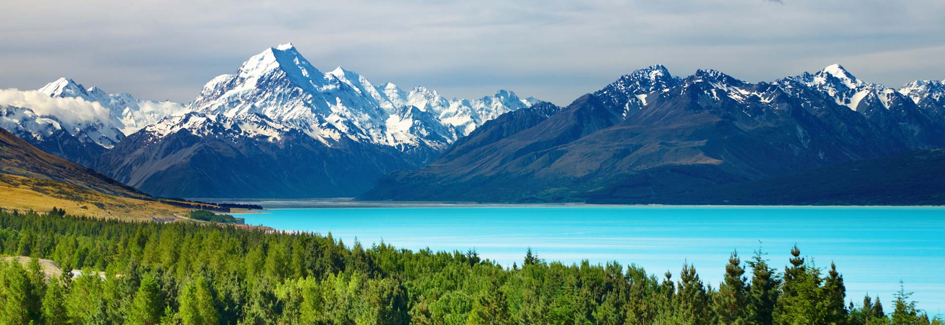 New Zealand Mount Cook and Pukaki Lake