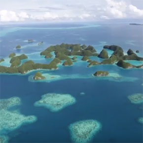 Treasures of Palau